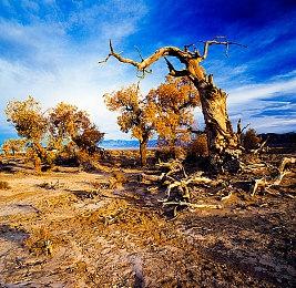 SE提醒玩家远离非官方正式渠道游戏氪金 个人违法助长犯罪