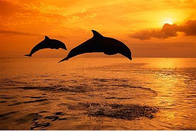 《星空》时隔近半年新更新 新创建工具打造MOD上线