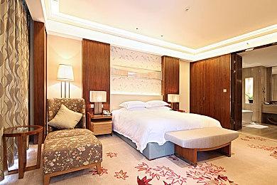 《宝可梦：大集结》新宝可梦“苍响”上线 参与活动即可兑换