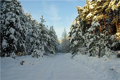 《旷野之息》《王国之泪》获Switch 2版 需购买升级包强化